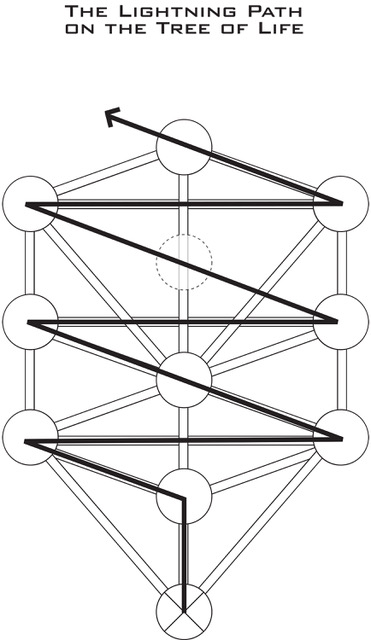 Lightning Path on the Tree of Life