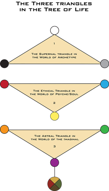 Three Triangles on the Tree of Life